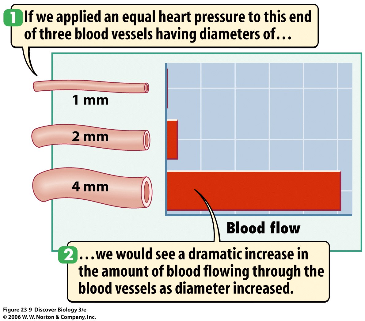 How To Make Blood Flow To Your Head